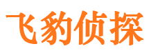 益阳外遇出轨调查取证